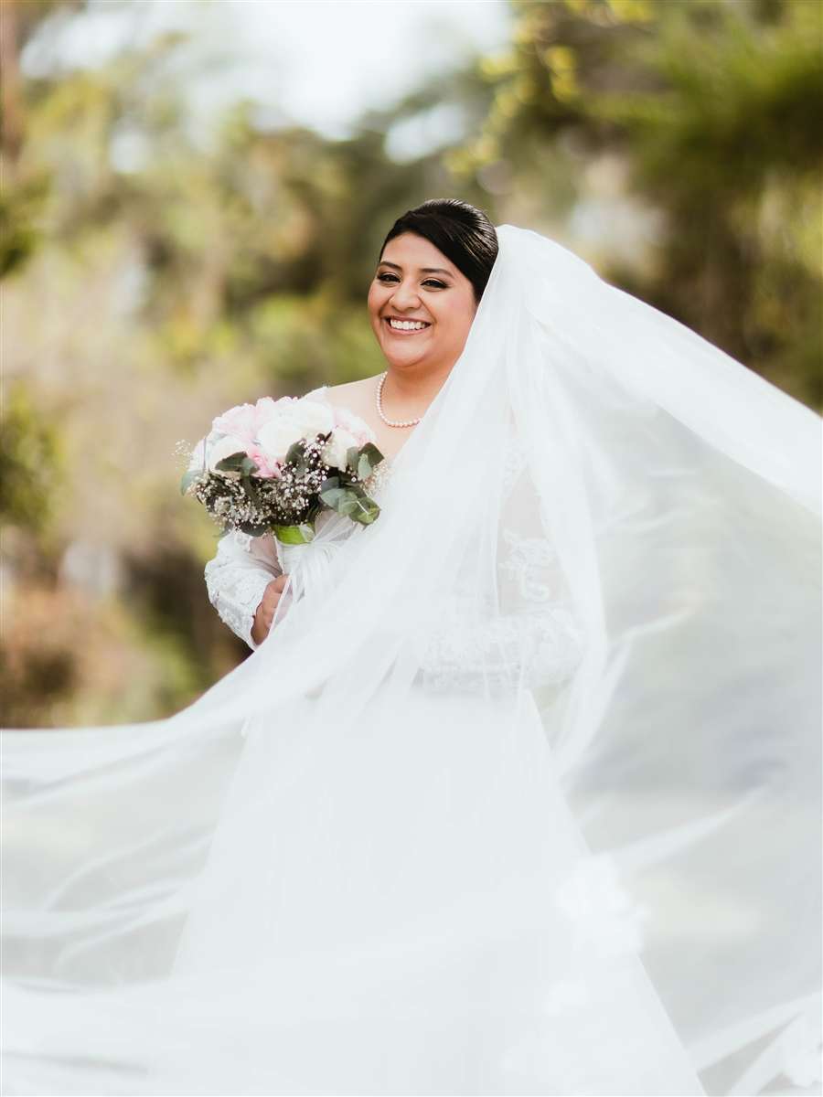 bodas